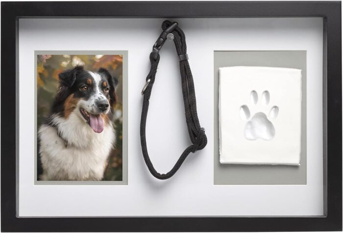 Pearhead Pawprints Collar Frame, Pet Keepsake Photo Frame, Clay Pawprint and Collar Frame