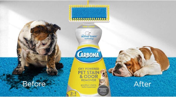 Carbona Oxy-Powered Pet Stain & Odor Remover w/ Active Foam Technology | 22 Fl Oz, 2 Pack - Image 2