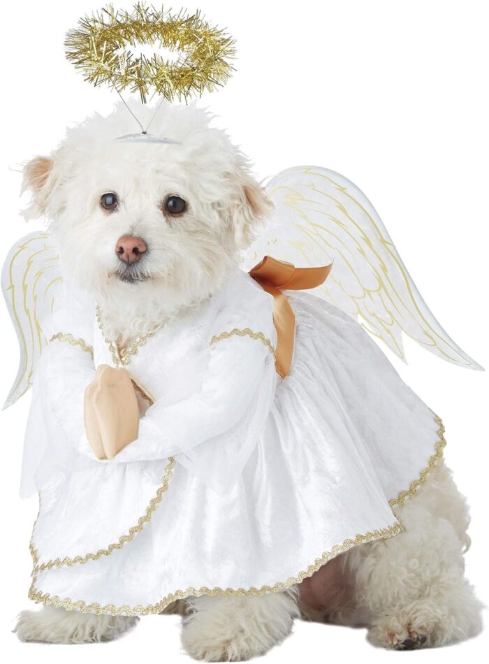 Heavenly Hound Pet Costume Medium