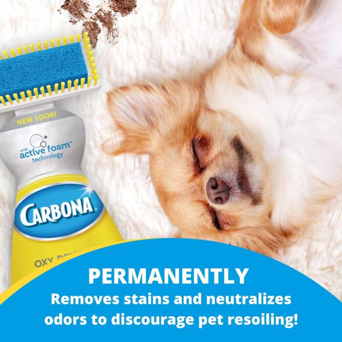 Carbona Oxy-Powered Pet Stain & Odor Remover w/ Active Foam Technology | 22 Fl Oz, 2 Pack - Image 5