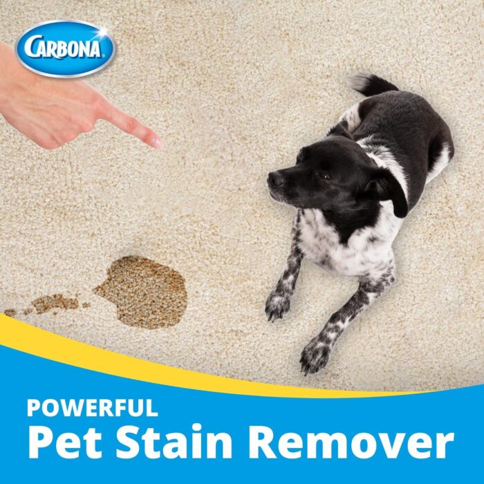 Carbona Oxy-Powered Pet Stain & Odor Remover w/ Active Foam Technology | 22 Fl Oz, 2 Pack - Image 3