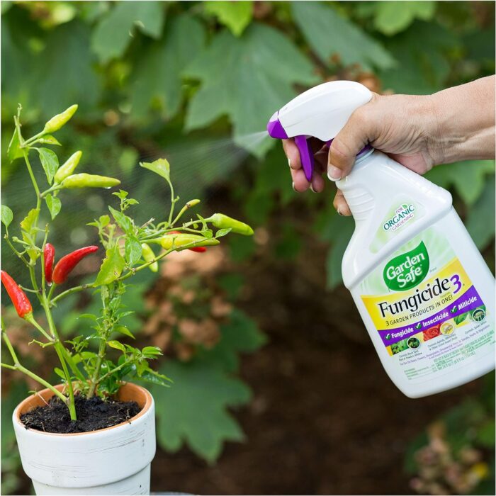 Garden Safe Fungicide, Prevents Fungal Diseases, Controls Black Spot, Rust and Powdery Mildew, Aphids, Whiteflies, Spider Mites, (RTU Spray) 24 fl Ounce - Image 5