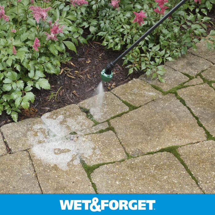 Wet & Forget Moss, Mold, Mildew, & Algae Stain Remover Multi-Surface Outdoor Cleaner Concentrate - Image 11