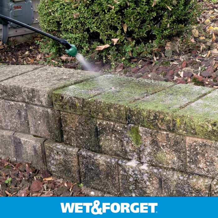 Wet & Forget Moss, Mold, Mildew, & Algae Stain Remover Multi-Surface Outdoor Cleaner Concentrate - Image 3